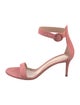 Gianvito Rossi Suede Sandals