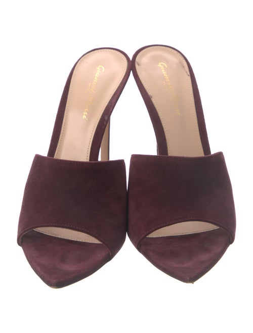 Gianvito Rossi Suede Slides