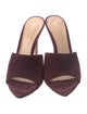 Gianvito Rossi Suede Slides