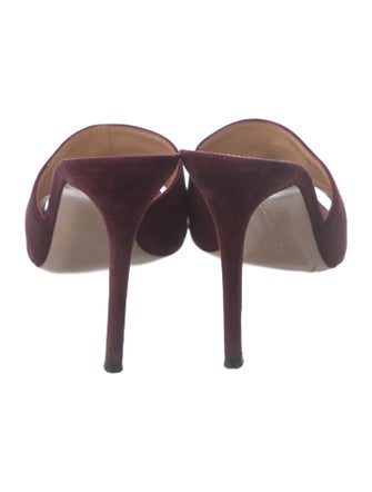 Gianvito Rossi Suede Slides