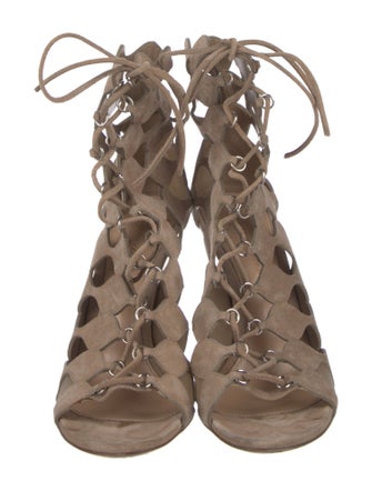 Gianvito Rossi Suede Gladiator Sandals