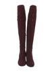 Gianvito Rossi Suede Boots