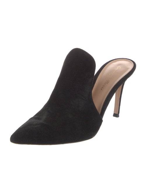 Gianvito Rossi Suede Mules