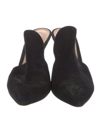 Gianvito Rossi Suede Mules