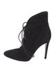 Gianvito Rossi Suede Lace-Up Boots