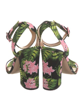 Gianvito Rossi Floral Print Sandals