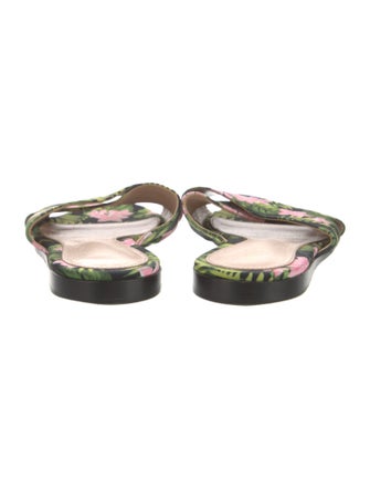 Gianvito Rossi Floral Print Cutout Accent Slides