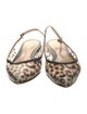 Gianvito Rossi PVC Animal Print Slingback Flats