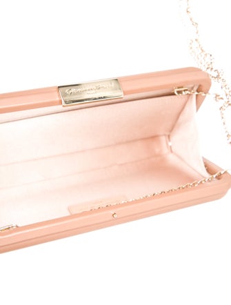 Gianvito Rossi Leather Minaudière