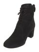 Gianvito Rossi Suede Lace-Up Boots