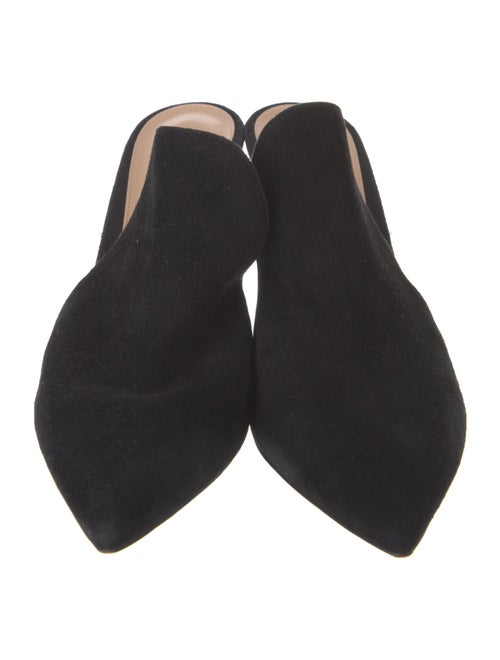 Gianvito Rossi Suede Mules