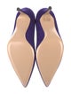 Gianvito Rossi Suede Pumps