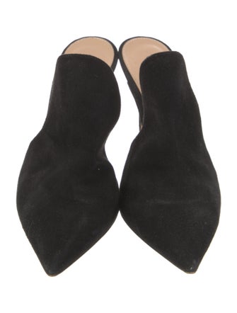 Gianvito Rossi Suede Mules