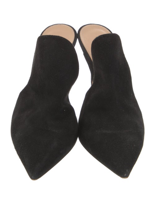 Gianvito Rossi Suede Mules