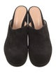 Gianvito Rossi Suede Leather Trim Embellishment Mules