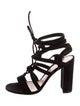 Gianvito Rossi Suede Gladiator Sandals