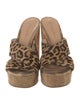 Gianvito Rossi Ponyhair Animal Print Slides