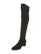 Gianvito Rossi Suede Boots