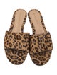 Gianvito Rossi Ponyhair Animal Print Slides