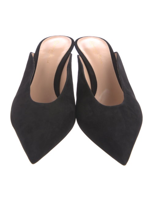 Gianvito Rossi Suede Mules