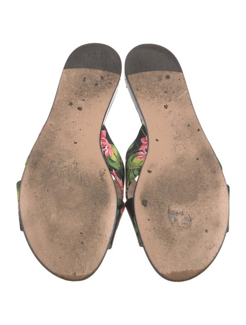 Gianvito Rossi Floral Print Slides
