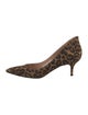 Gianvito Rossi Suede Animal Print Pumps