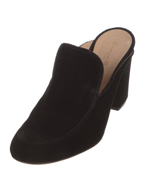 Gianvito Rossi Velvet Mules