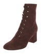Gianvito Rossi Suede Lace-Up Boots