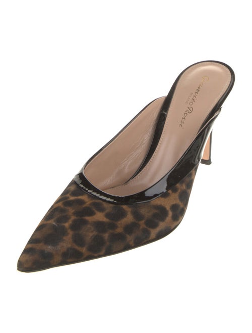 Gianvito Rossi Suede Animal Print Mules