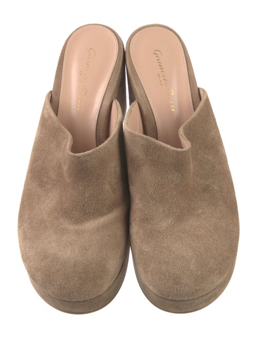 Gianvito Rossi Suede Mules