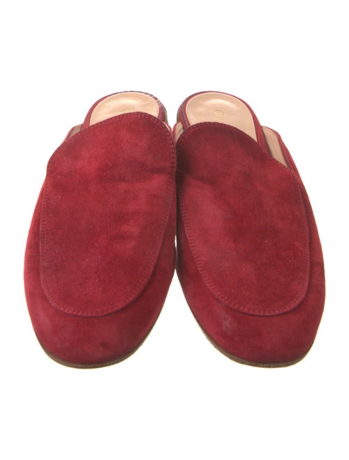 Gianvito Rossi Suede Mules