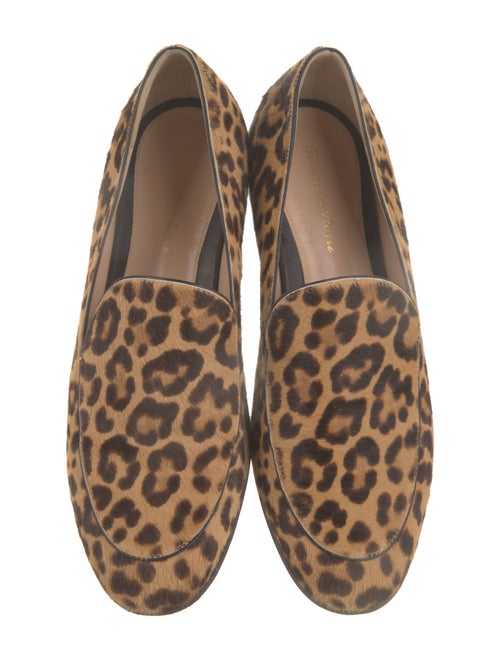 Gianvito Rossi Ponyhair Animal Print Loafers