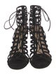 Gianvito Rossi Suede Cutout Accent Gladiator Sandals