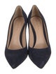 Gianvito Rossi Suede Pumps