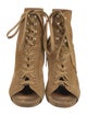 Gianvito Rossi Suede Lace-Up Boots