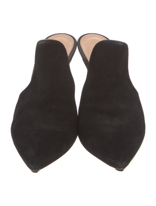 Gianvito Rossi Suede Mules
