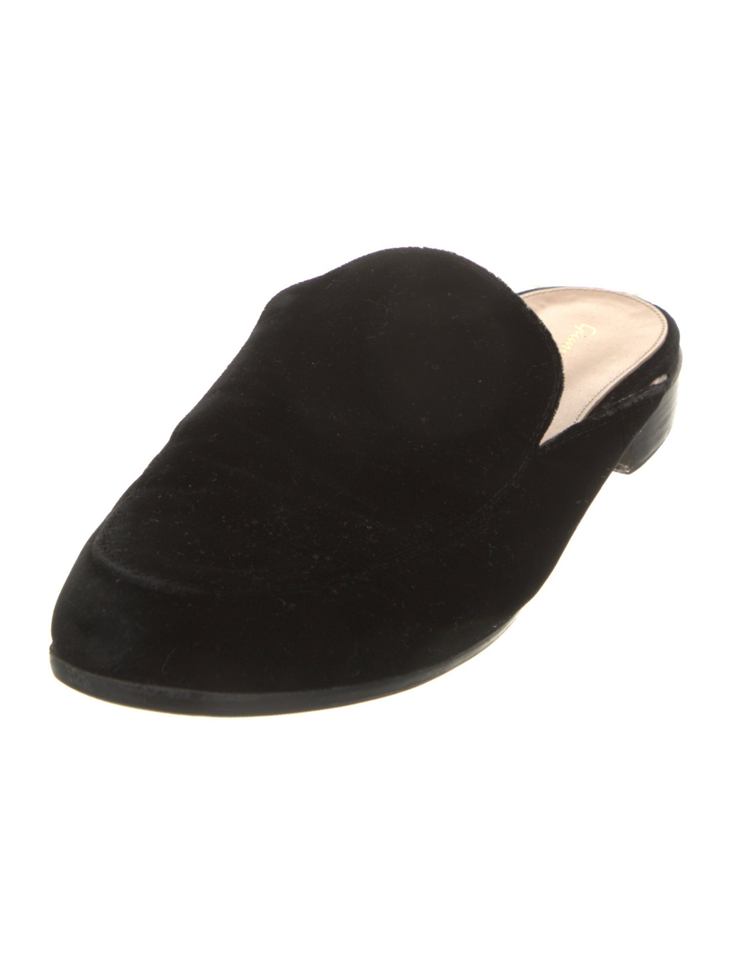 Gianvito Rossi Velvet Mules