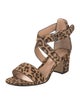 Gianvito Rossi Ponyhair Animal Print Sandals