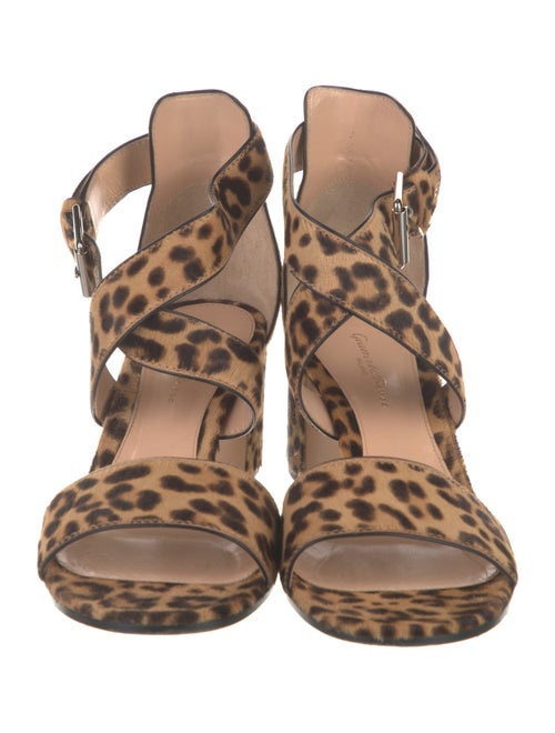 Gianvito Rossi Ponyhair Animal Print Sandals