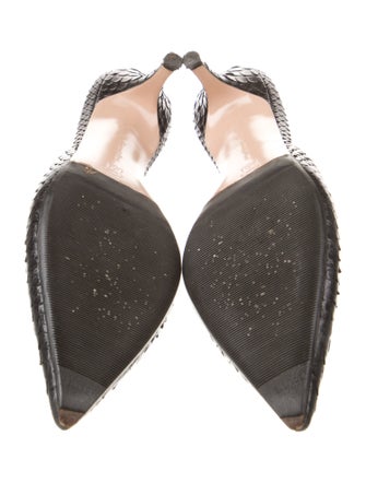 Gianvito Rossi Python Animal Print Mules