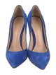 Gianvito Rossi Suede Pumps