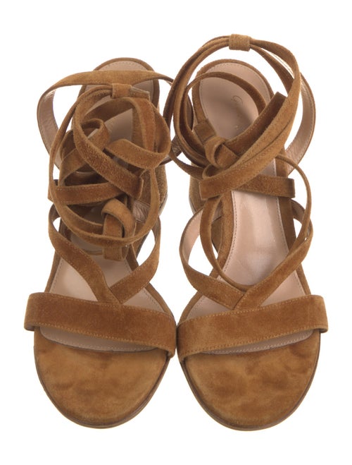 Gianvito Rossi Suede Gladiator Sandals