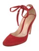 Gianvito Rossi Suede Pumps