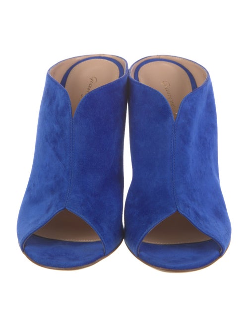 Gianvito Rossi Suede Slides