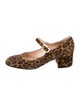 Gianvito Rossi Ponyhair Animal Print Pumps