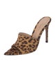 Gianvito Rossi Ponyhair Animal Print Mules