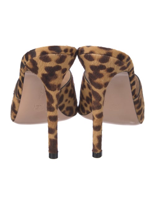 Gianvito Rossi Ponyhair Animal Print Mules