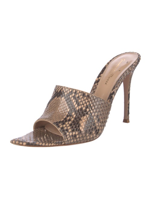 Gianvito Rossi Snakeskin Animal Print Mules