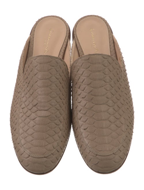 Gianvito Rossi Python Mules