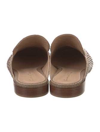 Gianvito Rossi Python Mules